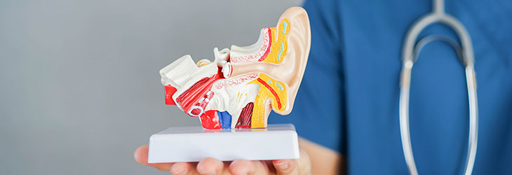Physiological Disorders of Ear, Nose and Throat