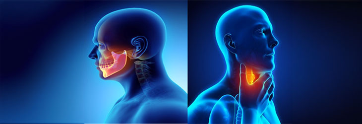Laryngology and Larynx Disorders